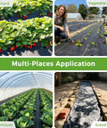 Six Foot By Three Hundred Foot Premium Weed Barrier Landscape Fabric 3.5oz Heavy Duty Garden Ground Cloth used in various settings