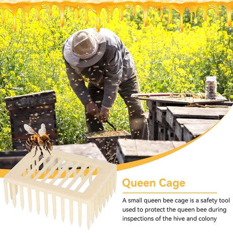 Beekeeping Queen Marker Cage Kit 20 Pack Clip Bee Catcher with beekeeper in apiary, yellow flowers, and hive maintenance scene.