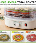 Five Tray Electric Food Dehydrator With Pro Airflow Circulation For Making Beef Jerky Dried Fruit And Homemade Dog Treats No Sweat Cleanup Countertop Build Great For Go Big On Healthy Snacks featuring three heat levels and stacked fruit and jerky.