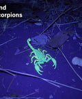 Scorpion illuminated by UV Black Light Flashlight Three Pack With 51 LEDs 395nm in dim light highlighting detection capability.