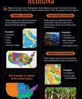 "Regions poster from Five Themes Of Geography Poster Set For Classrooms And Halls With Easy To Use Lesson Ideas Perfect For Elementary Through High School Bright Durable Wall Displays For Learning Spaces"