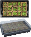 Seed Starter Kit With 100 Peat Pots, 5 Plastic Trays, Water Strainer, Adjustable Humidity Dome, Plant Labels, And Sprayer For Seedlings