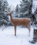 Durable Self Healing Foam Buck Deer 3D Archery Target Handles Thousands Of Shots From Compound Bows Crossbows And Traditional Bows