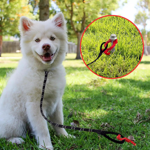Beefy Aluminum Ground Anchors Set For Tents And Outdoor Gear Rustproof Heavy Duty Stakes with dog tied to anchor in grass