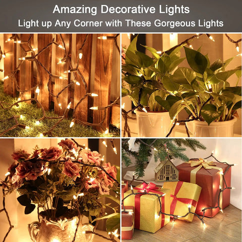 Clear Christmas Lights String With Brown Wire 21 Feet Long 100 Incandescent Bulbs Warm White Glow on plants and gifts