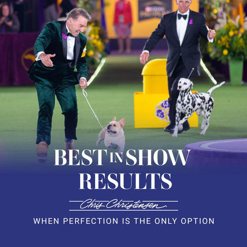 Dog show with several dogs displayed; focus on participant walking their dog in an indoor event.