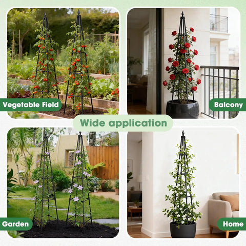 Beefy 6 Foot Garden Trellis For Climbing Plants With Thickened 16mm Metal Pipes in vegetable fields and balconies.