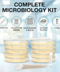 Hands On Microbiology Science Kit For Students With Ten Pre Poured Agar Plates And Cotton Tipped Sticks Learn Microbiology At Home