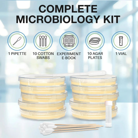 Hands On Microbiology Science Kit For Students With Ten Pre Poured Agar Plates And Cotton Tipped Sticks Learn Microbiology At Home