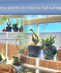 2 Pack 12 Inch Acrylic Window Plant Shelves With Suction Cup Sill Extenders holding pots in sunlight