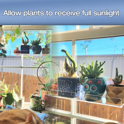 2 Pack 12 Inch Acrylic Window Plant Shelves With Suction Cup Sill Extenders holding pots in sunlight