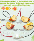 24 Fruit Battery Science Kit With Clock For Home Classroom Learning Power Up Physics Experiments With Lemons Oranges Potatoes Includes Copper And Zinc Plates Wires LEDs And Timers Kid Friendly, fruit battery setup with apple slices and LED