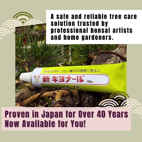 New Bonsai Pruning Sealer Paste 100g From Japan for Quick Dry Fast Healing shown in tube on bonsai branches