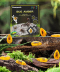 Amber Dig Kit For Kids Hands On Excavation With 8 Insect Specimens Learn Geology And Biology Through STEM Fun Great Educational Gift For Ages 6 8 12 14 And Party Favors. box with amber insect specimens