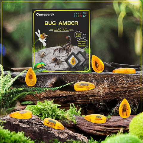 Amber Dig Kit For Kids Hands On Excavation With 8 Insect Specimens Learn Geology And Biology Through STEM Fun Great Educational Gift For Ages 6 8 12 14 And Party Favors. box with amber insect specimens