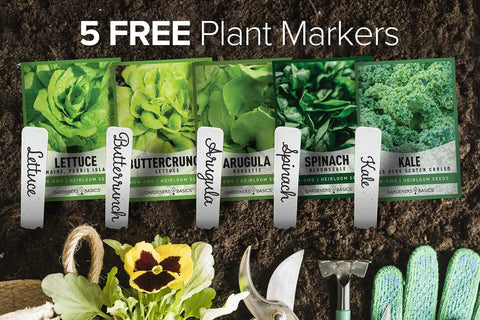 Five Pack Of Lettuce And Greens Seeds Including Arugula Spinach Kale Buttercrunch Romaine And More Non GMO With Plant Markers
