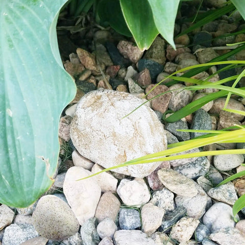 Realistic Outdoor Fake Rock Key Hider Safe Box With Secret Compartment For Yard And Garden Large Size Hide A Spare Key Or Valuables Outdoor Key Storage Box placed among garden stones