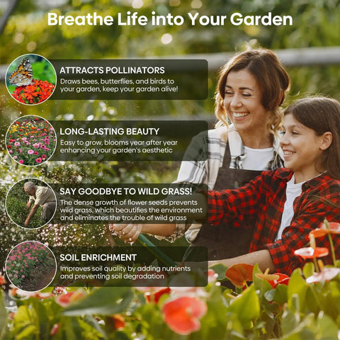 Backyard Friendly Wildflower Seed Mix For Outdoor Gardens With 24 Varieties Attracts Hummingbirds And Butterflies No Filler Fresh Germination Annual And Perennial Blend 1 Ounce Pack Resealable Bulk Seed Jar
