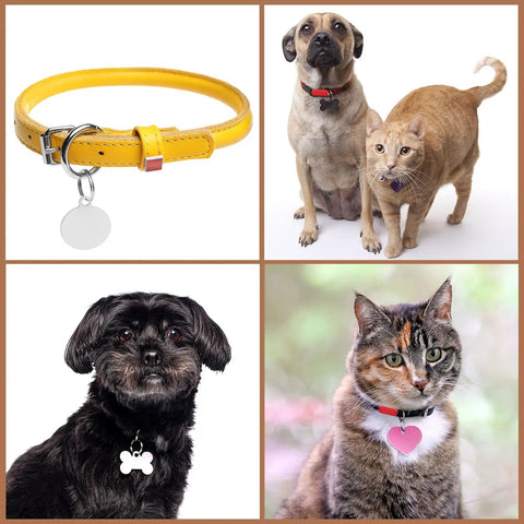 Collage with yellow collar and custom pet ID tags on two dogs and two cats, showcasing personalized pet accessories.