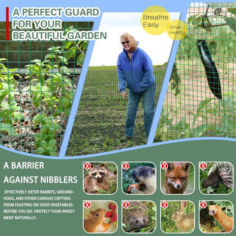 A woman in a garden behind Beefed Up Hardware Cloth One Half Inch Mesh 48 Inch Wide 100 Foot Long Vinyl PVC Coated Welded Wire Mesh.