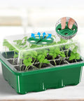 3-Pack Seed Starter Trays With Adjustable Humidity Dome And Base Indoor Greenhouse Propagator with 12 cells, green