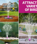 Hot Pink Solar Bird Bath Fountain Pump With 4W Solar Panel, attracting hummingbirds in a garden setting, various spray patterns