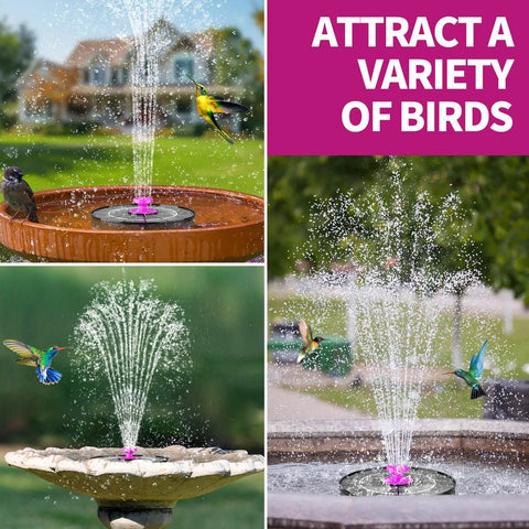 Hot Pink Solar Bird Bath Fountain Pump With 4W Solar Panel, attracting hummingbirds in a garden setting, various spray patterns