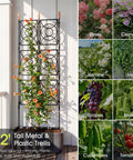 Heavy Duty Outdoor Garden Trellis For Climbing Plants 2 By 6.2 Ft Tall 24 Rib Steel Frame With Plastic Coating