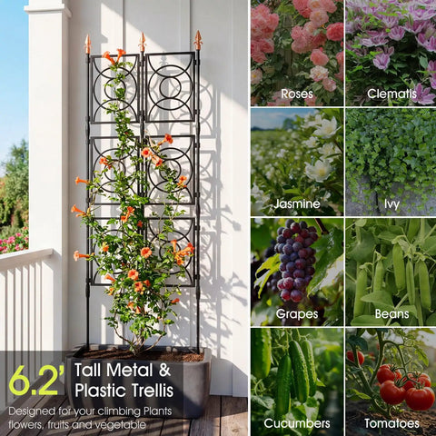 Heavy Duty Outdoor Garden Trellis For Climbing Plants 2 By 6.2 Ft Tall 24 Rib Steel Frame With Plastic Coating