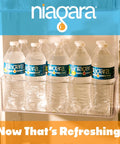 Purified Drinking Water 16.9 Oz Bottles Bulk Pallet 1008 Bottles In 42 Cases For Events and Stock Up At Home Or Office Hydration