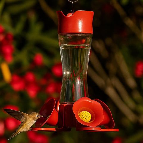 Glass Hummingbird Feeder With Four Flower Ports And Comfortable Perches, Ant Moat And Bee Guards, 8 Oz Nectar Capacity, garden