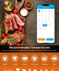 Smartphone displaying app for WiFi Meat Thermometer With 4 Probes near grilled meat on cutting board.