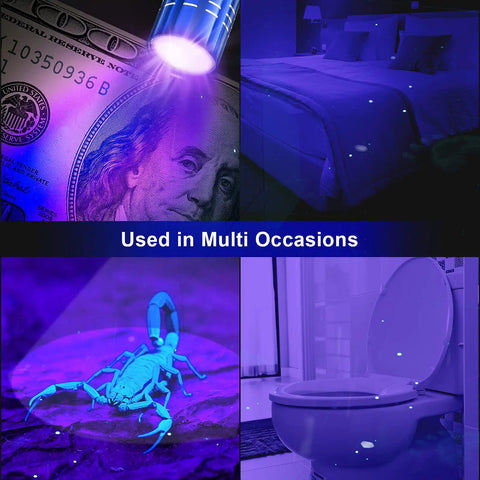 Lit 40 Pack UV Flashlights mini black light detecting stains and scorpions in bedroom, bathroom, currency, and scorpion close-up.