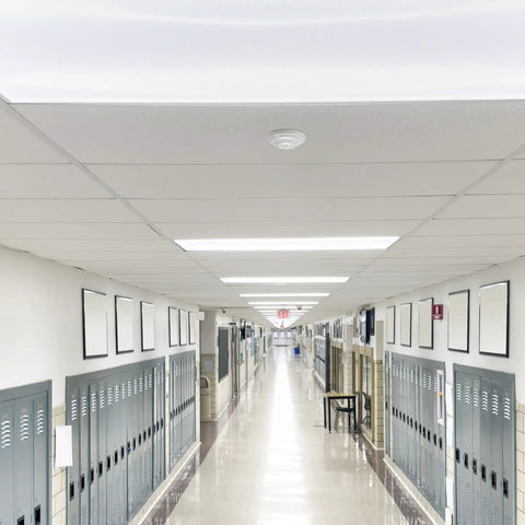 Ceiling Mount 360 Degree PIR Occupancy Sensor installed in a school hallway ceiling, automating lighting at 15 ft high, 120-277V.