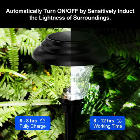 Glass Solar Lights Outdoor 8 Pack Waterproof Super Bright Pathway Lights with auto on off in garden greenery.