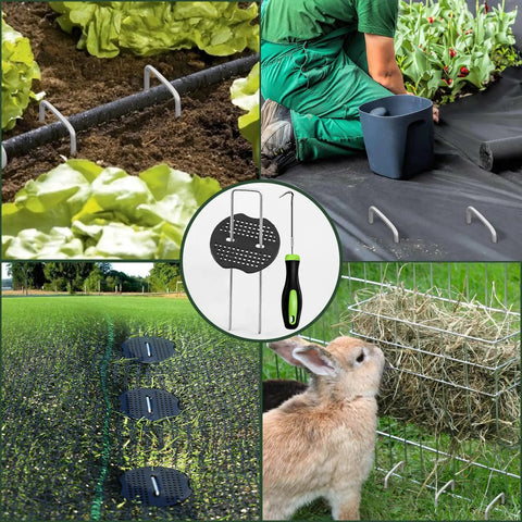 Heavy Duty 6 Inch Galvanized Landscape Staples 50 Pack, 11 Gauge Anti Rust Garden Stakes for Weed Barrier Fabric in use