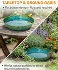 Built Tough As Heck Metal Bird Bath Replacement Bowl For Outside And Yards 12 Inch blue green basin with birds on table and ground.