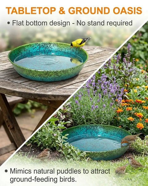 Built Tough As Heck Metal Bird Bath Replacement Bowl For Outside And Yards 12 Inch blue green basin with birds on table and ground.