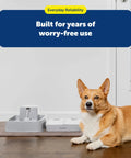 Smooth Operator Two Meal Automatic Pet Feeder With Dial Timer For Dogs And Cats, features gray feeder and a corgi in a home setting.