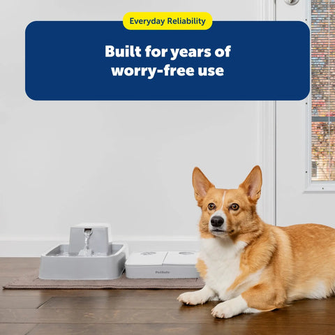 Smooth Operator Two Meal Automatic Pet Feeder With Dial Timer For Dogs And Cats, features gray feeder and a corgi in a home setting.
