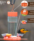 Hanging Glass Oriole Feeder For Yard Birds, 30 Ounce Nectar Feeder With Jelly Dishes And Orange Fruit Holders, bird feeding