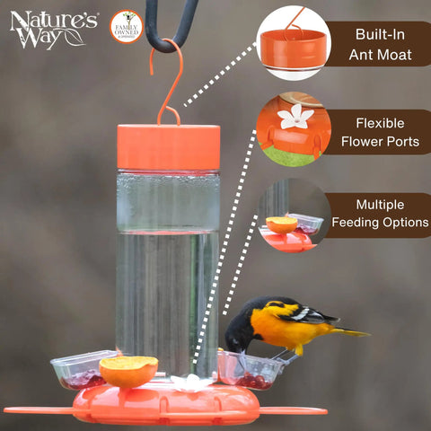 Hanging Glass Oriole Feeder For Yard Birds, 30 Ounce Nectar Feeder With Jelly Dishes And Orange Fruit Holders, bird feeding