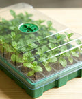 Seed Starter Tray Kit With Humidity Domes And Base 5 Pack No Fuss Setup For 200 Cells Total 40 Per Tray. Visible seedlings in tray.