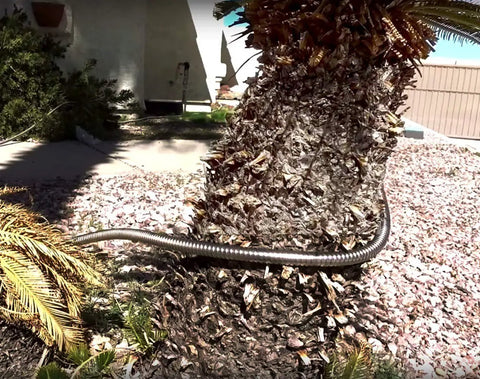 Heavy Duty 304 Stainless Steel Garden Hose Extension 100 Feet With Brass Nozzle wrapped around a tree in a yard