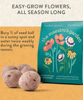 Seed Ball Kit Bundle Pack Of 3 Hand Rolled Wildflower Bombs Non GMO Mix For Annual And Perennial Blooms package with seed balls