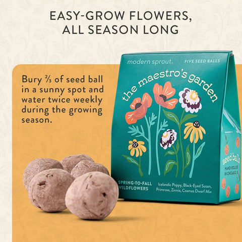 Seed Ball Kit Bundle Pack Of 3 Hand Rolled Wildflower Bombs Non GMO Mix For Annual And Perennial Blooms package with seed balls