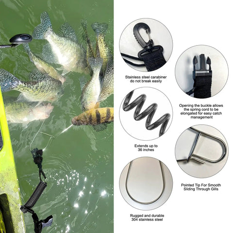 Beefy Heavy Duty Stainless Steel Fish Stringer Clip 78 Inch Quick Release Lanyard For Spearfishing Kayak Fishing And Scuba Diving Carries Multiple Large Fish Extra Large Capacity 2 Pack with fish and features.