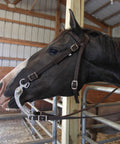 All Day Comfort Nylon Padded Browband Horse Headstall With Reins in use on a horse, shown in side profile view.