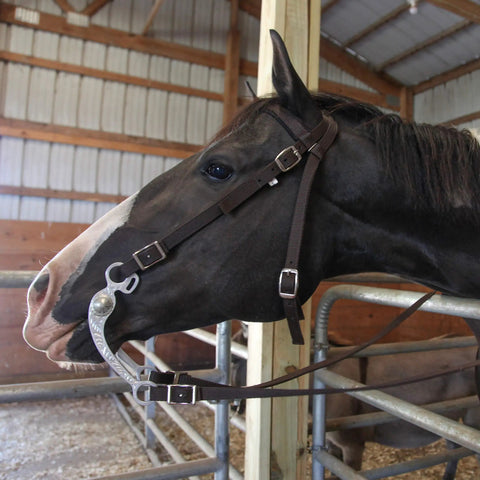 All Day Comfort Nylon Padded Browband Horse Headstall With Reins in use on a horse, shown in side profile view.