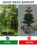 Side by side comparison of tree with 16 Pack 32 Point 2 Inch Non Woven Tree Mulch Rings Weed Barrier Mats Reusable Landscape Protector Base Fabric For Weed Root Protection Lowkey Breathable Permeable Air Water Nutrients Pass Through Black and tree without mulch ring, showing difference in weed growth.
